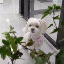 큐트몰