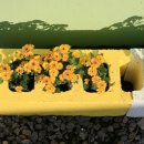 나무향기민박 이미지