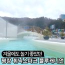 동온탕 | 12월 겨울 평창 휘닉스파크 워터파크 블루캐니언 방문후기 - 복장 모자 아쿠아슈즈 방문꿀팁 준비물