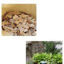 농장풀물 이미지