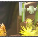 증평수족관 이미지