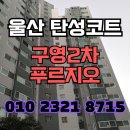 구영자리 | 울산 탄성코트 구영2차푸르지오 타일 제거 자리 쾌적하게 재정비