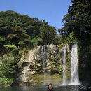 천지연폭포 이미지