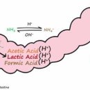 연수버들약국 이미지