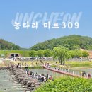 제1719회차 미르309출렁다리 /농다리 관광 안내=충북 진천=7월1일(월 요일) 이미지