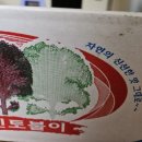 광명농장 | 농라 광명농장 케일,청청오메인 후기