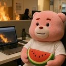 신발왔슈