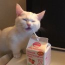 종일식당 이미지