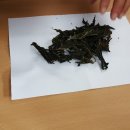 아주까리농장 이미지