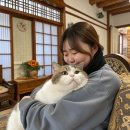 조선시대 그림그리기(민화) 이미지