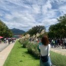 [공연] 2022 랩비트 페스티벌