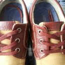 백양세탁전문점 이미지