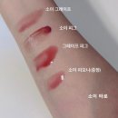 영콜렉션 | [올리브영] 롬앤 두유 컬렉션 내돈내산 비교 후기ㅣ여름 쿨톤 인생 립 + 치크 조합 추천