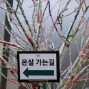 리아프카페 네이버블로그