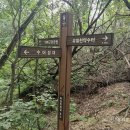 일장천약수터 이미지