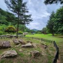 양구공수리지석묘군 이미지