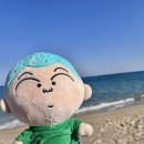 속초뽑기방 이미지