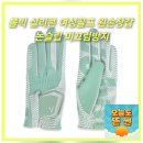 볼빅대구 | 볼빅 실리콘 여성골프 왼손장갑 논슬립 미끄럼방지 골프필수템
