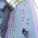 인공암벽장 이미지