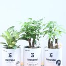 원스윙골프연습장 이미지