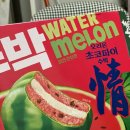 한정초등학교 | 오리온 초코파이 수박맛 2025 한정판 먹어봤어요