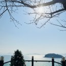 뎅뎅이랜드 이미지