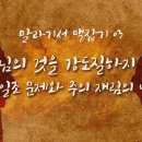 말라기서 맥잡기 03 끝 - 하나님의 것을 강도질하지 말라(십일조 문제와 주의 재림의 날)(말 3~4장) : 정동수 목사, 사랑침례교회 이미지