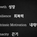 그릿