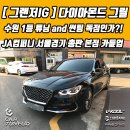 서울카튠업 이미지