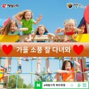 추계초등학교 이미지