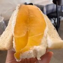 촉다방 | 가좌동 애견동반 수제 디저트 카페 - 노블롱