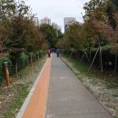 임항선그린웨이(북마산역) | 임항선 그린웨이