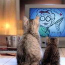 타이어피트 이미지