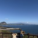 오늘 제주도 날씨 죽이네요 ㅋㅋㅋ 이미지