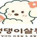 숲속애견샵 이미지
