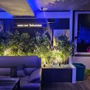 보헤미안음악카페 이미지