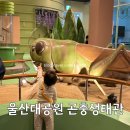 장수돌침대울산남구점 | [아이와 함께하는 곤충 탐험] 울산 곤충생태관 나들이 후기!