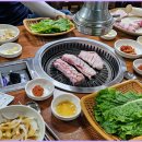 탐라우돈 이미지