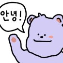 양가네분식 네이버블로그
