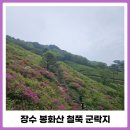 봉화산코스 | 장수 봉화산 등산코스 철쭉 개화시기