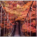 단풍세탁소 이미지