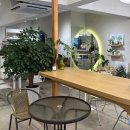 인 더 베이글(In the Bagel) | 베이글도 맛있는데, 숨쉴때마다 샐러드를 추천하고싶은 인더베이글 In The Bagel 내돈내먹 후기