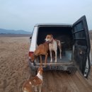 미미코코 이미지