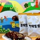 제주몬딱
