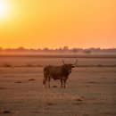 (주)캐처스 | [사주 인문학] 화려한 무대 뒤에, 묵묵한 한 사람이 있다 – 토(土)