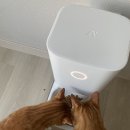 회원펫 | 강아지 고양이 자동급식기 바램펫 밀리스페셜 후기