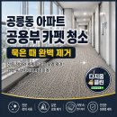숭의1.3동주민센터 다목적실 | 공릉동 아파트 시설 카펫 청소 | 커뮤니티센터·주민공동시설 타일카펫 세척 (다지움 클린)