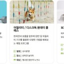 봄내동물병원 이미지