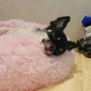 미스터토리 이미지