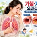 기침·가래가 오래간다면? 기관지염과 천식의 차이, 기관지 건강에 좋은 차와 생활관리법 이미지